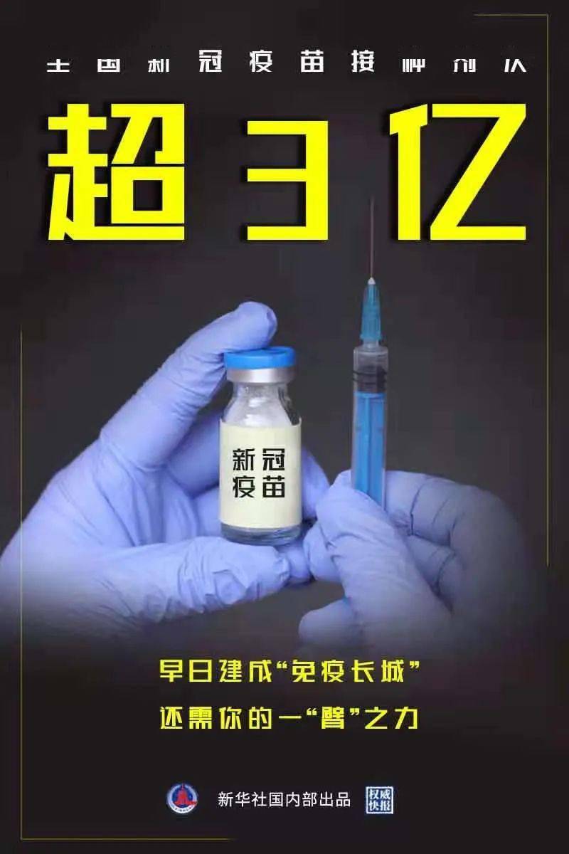 溜干二净全面解析，寻求最佳答案的指南