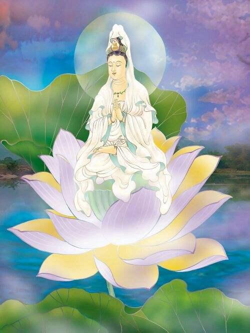 借花献佛背后的生肖之谜探秘