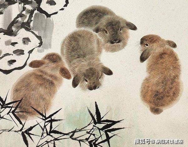 一见如故的生肖，缘分与特性之完美交融解析