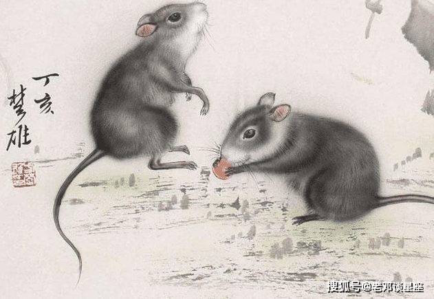 十二生肖之冠，探寻生肖佼佼者