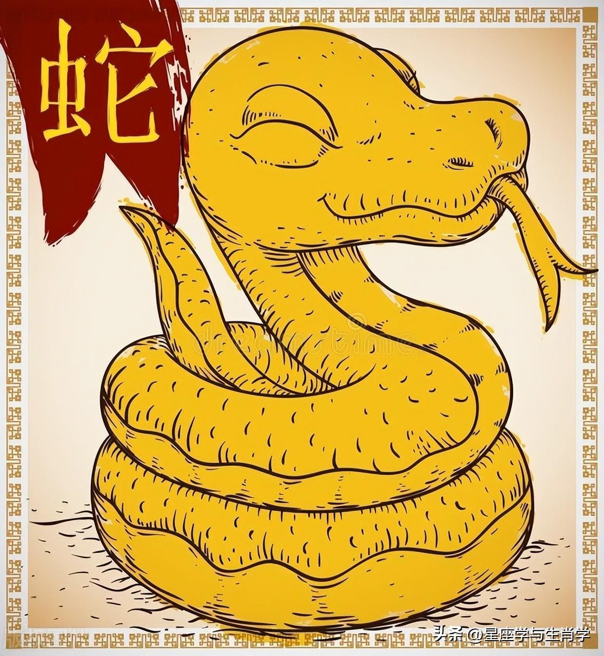 大街小巷的生肖传奇，探寻神秘生肖蛇的奥秘