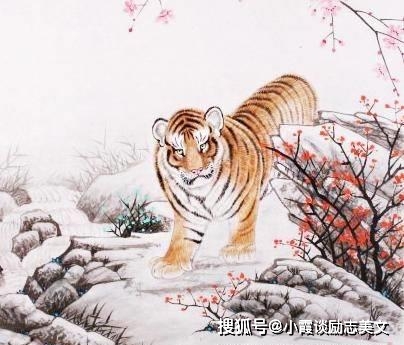 揭秘生肖之谜，坐卧不宁的探寻之旅