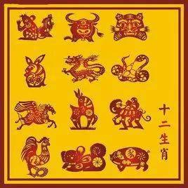 天长日久的生肖奥秘探索