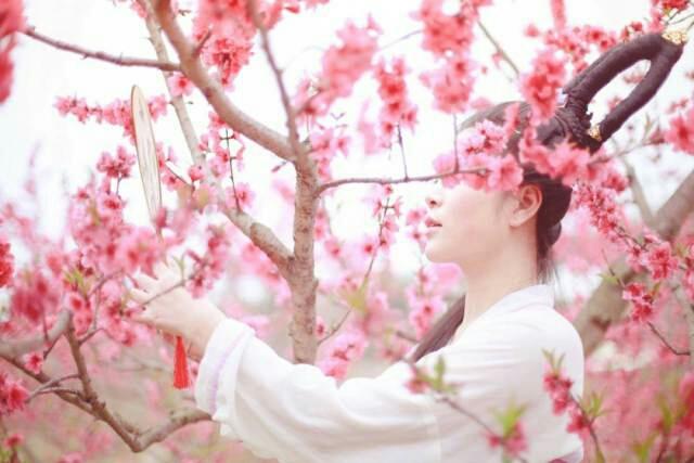 花开花落又一村下的生肖秘密探索