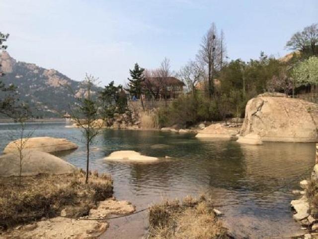 生肖与美丽之间的神秘联系，哪个生肖最显秀丽宜人？