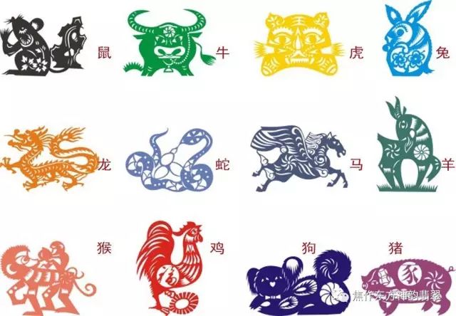 唇亡齿寒与生肖象征意义探讨