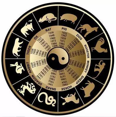 灭顶之灾与生肖之谜，揭秘背后的神秘联系