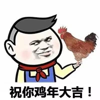 探寻鸡猪马成语背后的智慧与奥秘，成语之谜揭秘之旅
