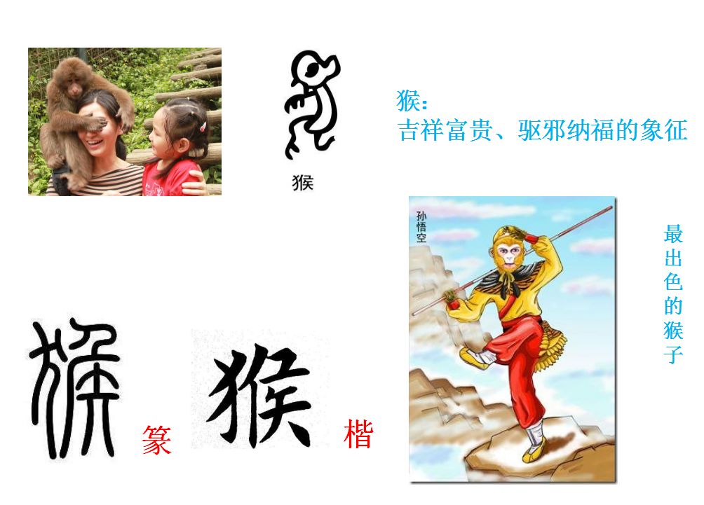 生肖背后的智慧启示，深度解读生肖文化蕴含的启示与思考