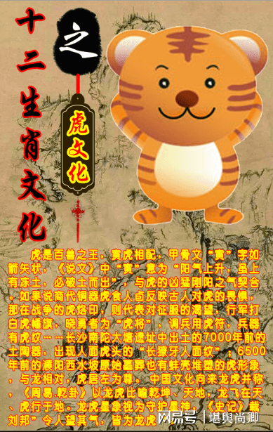 生肖属性揭秘，有功之臣的深度解读与解析