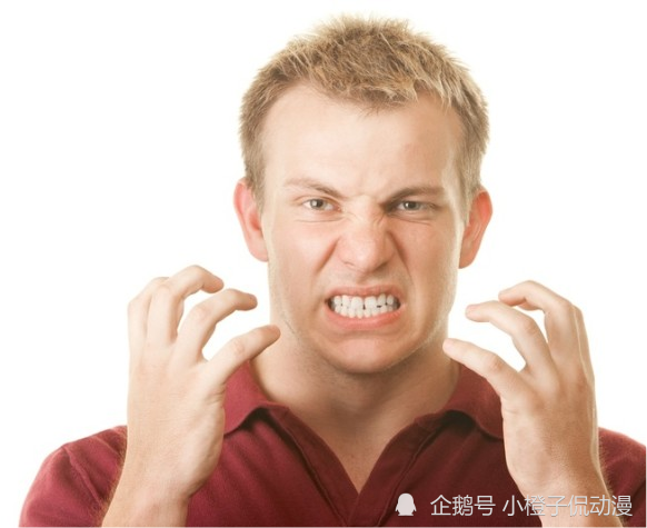解读生肖之力，坚定意志的力量