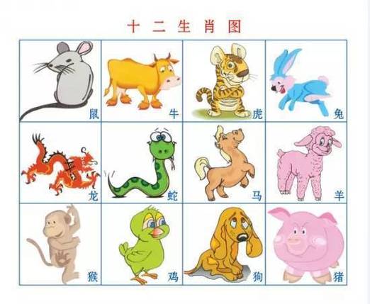 川流不息与生肖的奥秘联系