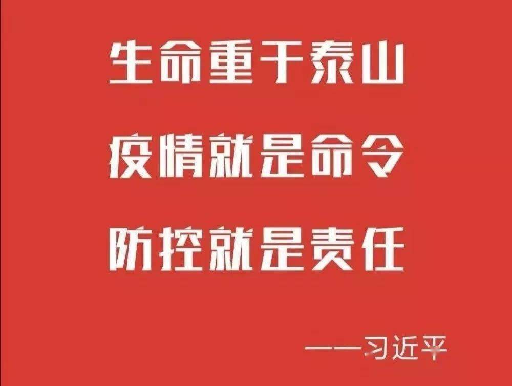 天津两地区调整为中风险地区，疫情挑战下的防控策略与应对之道