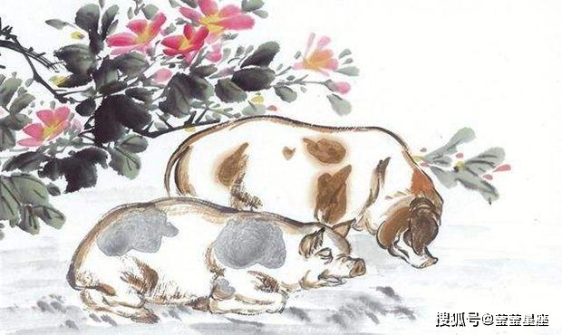 积重难返，揭秘生肖奥秘