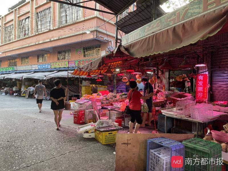 皮开肉绽与生肖动物的深度探究