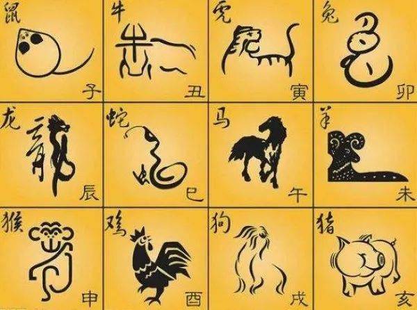 揭秘生肖与神秘力量的交织，偷天换日的生肖是什么？