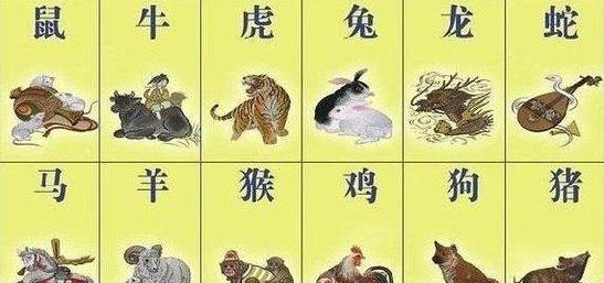 斩草除根背后的生肖智慧启示