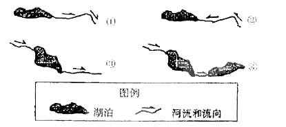 举国上下，生肖象征与文化共鸣的交融