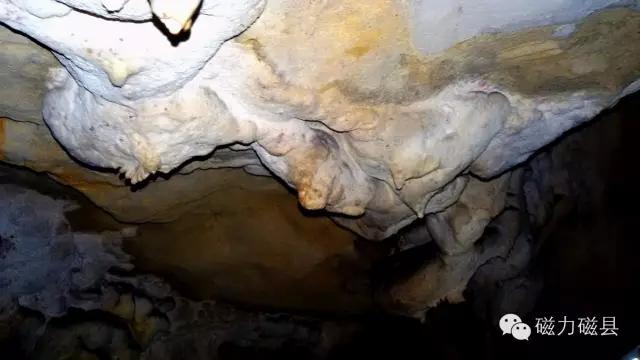 探寻北门南牙神秘动物之谜