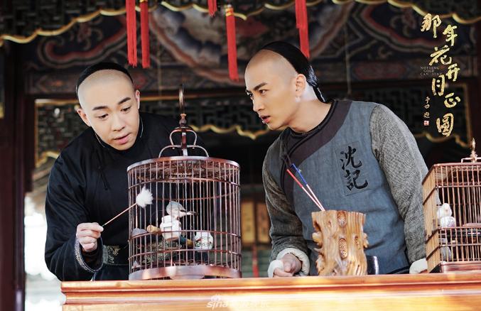 揭秘生肖智慧之星，八面玲珑的生肖秘密