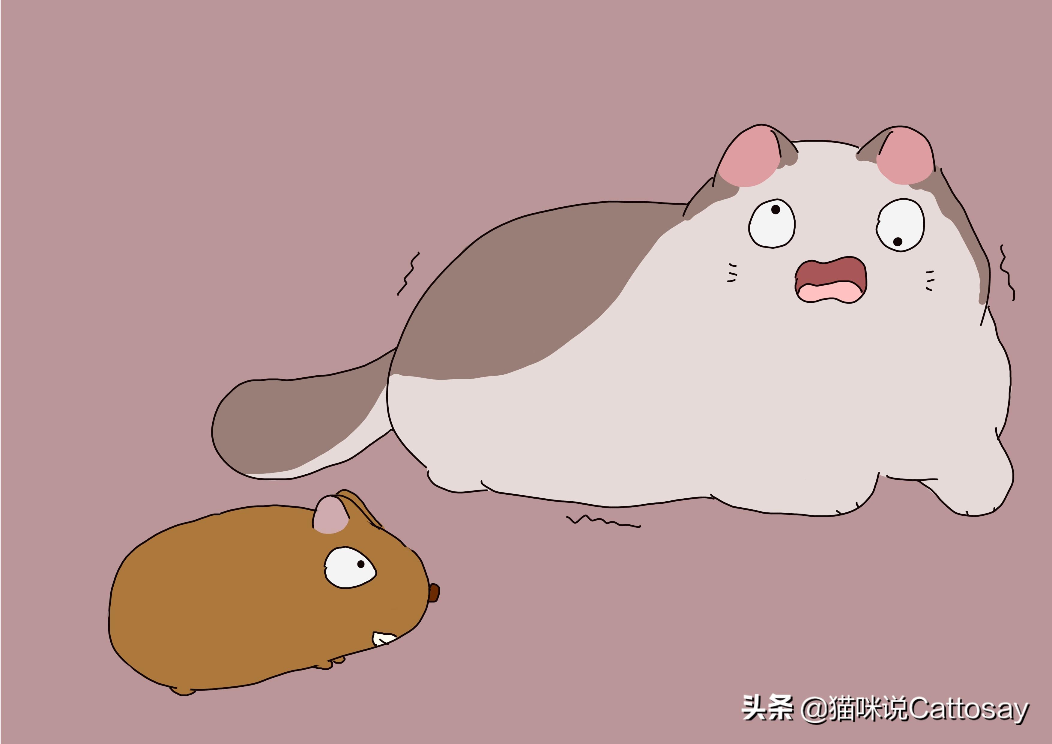 生肖鼠，胆小贪心背后的故事与特质深度探讨