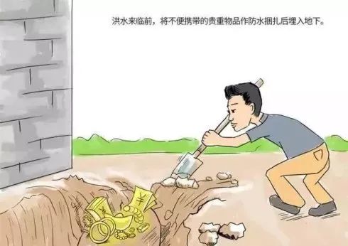 生肖背后的故事与智慧探寻之路