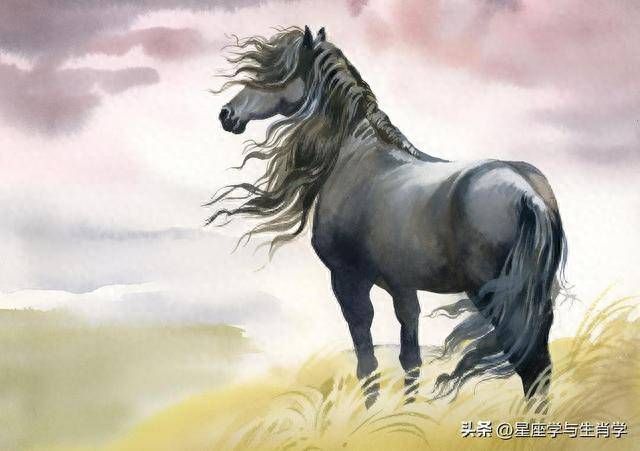 施不望报，展现生肖之德与人性之美