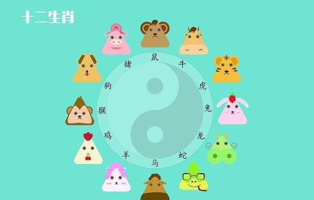 揭秘生肖奥秘，探寻生肖背后的故事与奥秘