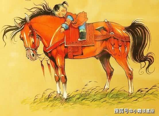 兵贵神速的生肖马，速度与力量的象征