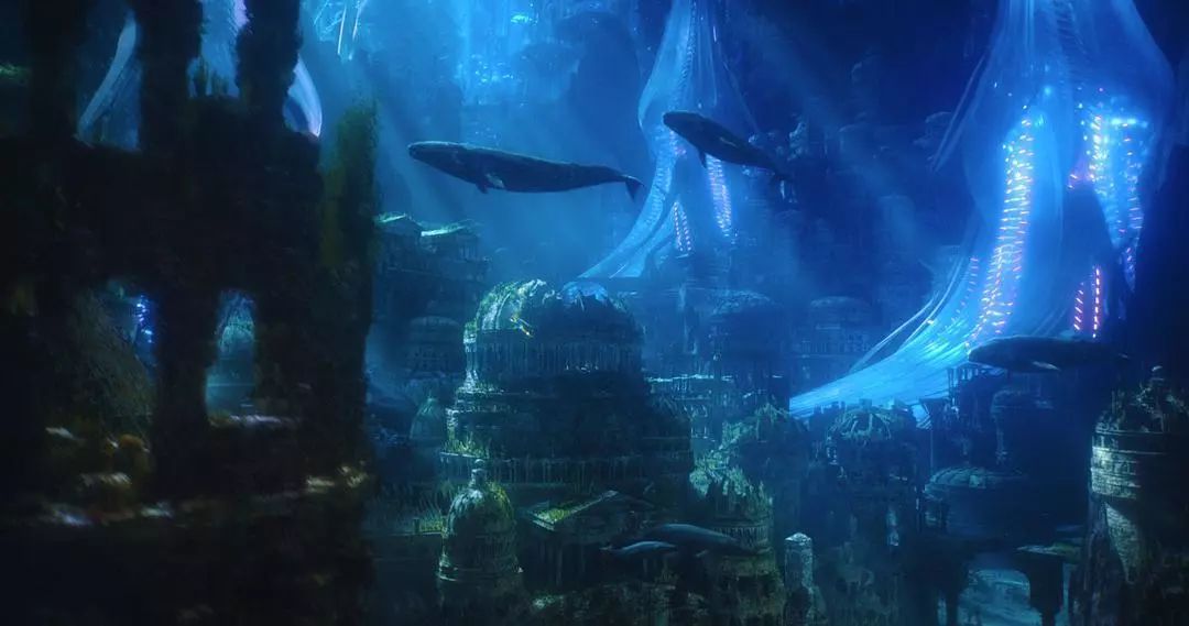 深海巨兽揭秘，神秘海洋的传奇生物探索