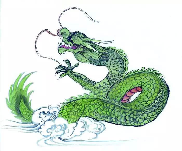 想前顾后，智慧与生肖的典范