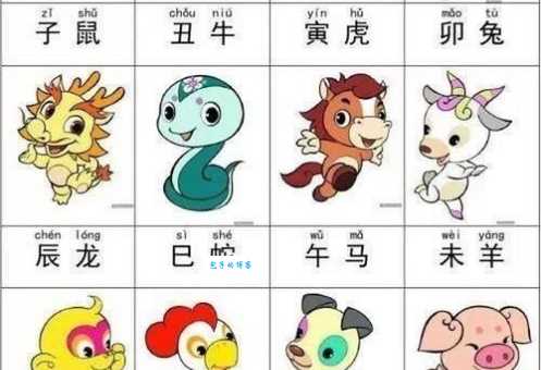 神秘生肖探寻之旅，误入迷津的生肖揭秘