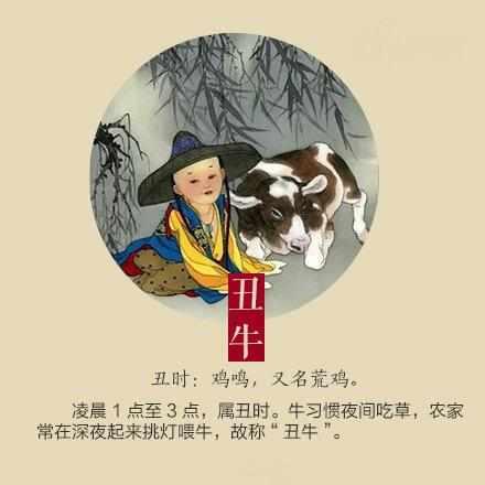 面黄肌瘦背后的生肖故事与深意探寻