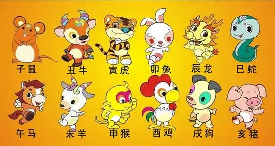 恶贯满盈与生肖之谜，探寻生肖动物背后的秘密