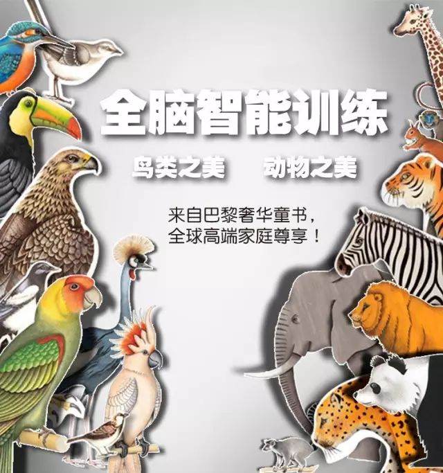 一筹莫展的智慧谜底，揭秘动物背后的神秘力量