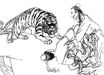 揭秘生肖之谜，为虎作伥的生肖揭晓