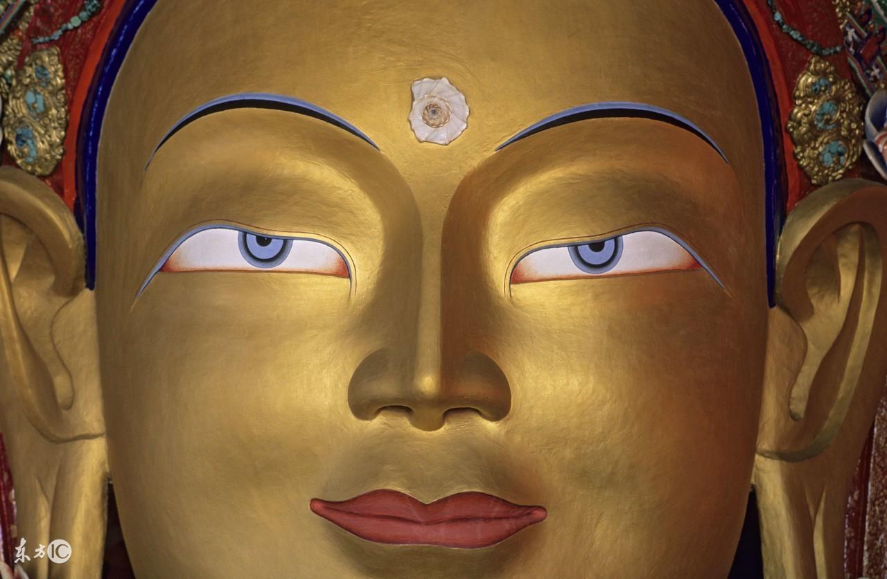 耳目之欲与生肖之谜探秘