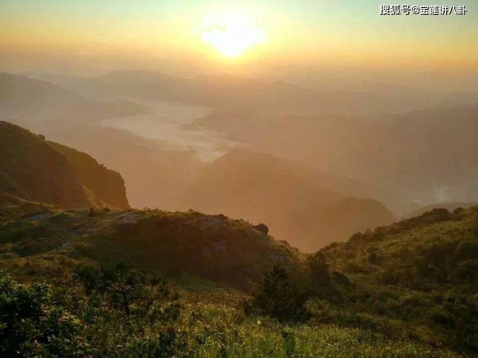 四顾山光接水光，探寻生肖奥秘