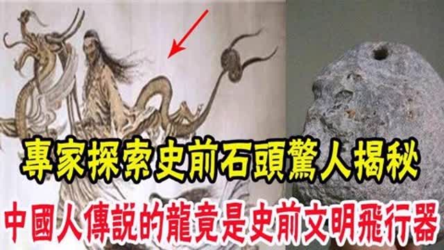 揭秘未知生肖之谜，身份之谜背后的探索之旅