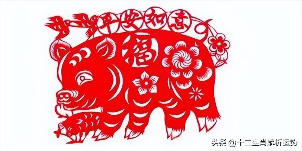 生肖象征与文化深度解读，亲密无间的文化探索