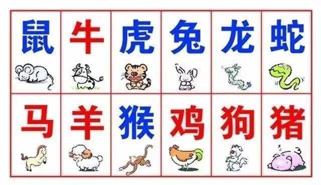 飞禽走兽揭示十二生肖的奥秘