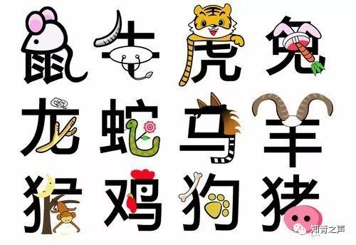 探寻神秘生肖之谜，眼花缭乱猜谜之旅