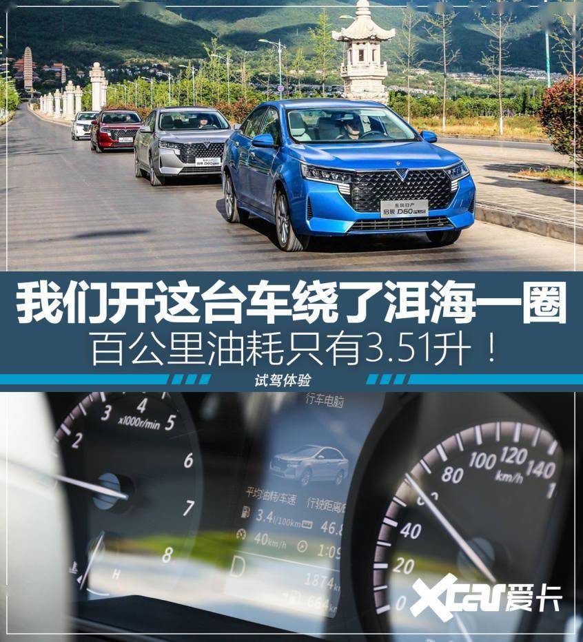 生肖精神之坚韧象征，百折不挠，永不言败