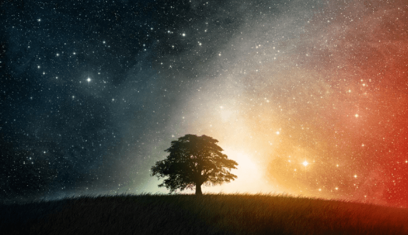 星空之下的生肖奥秘
