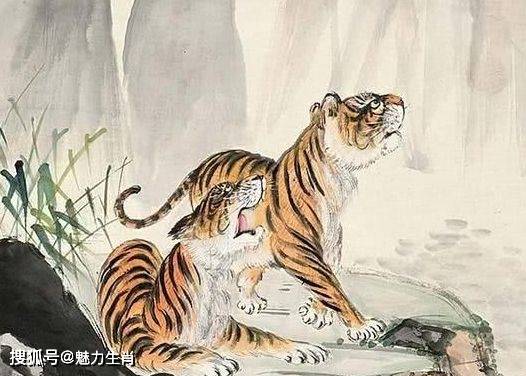 生肖揭秘，占山为王的神秘生肖之谜