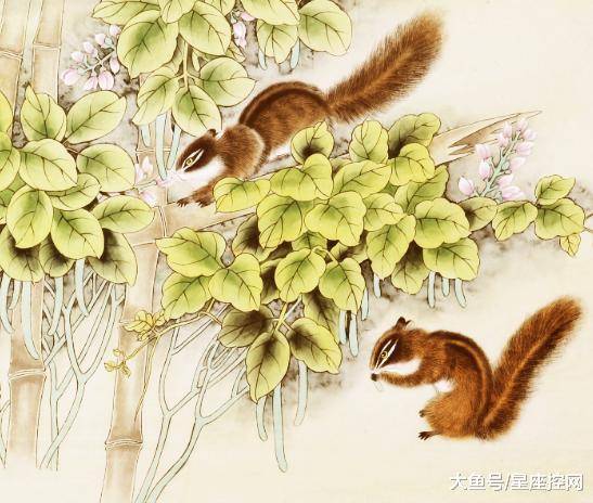 红不棱登背后的生肖魅力揭秘