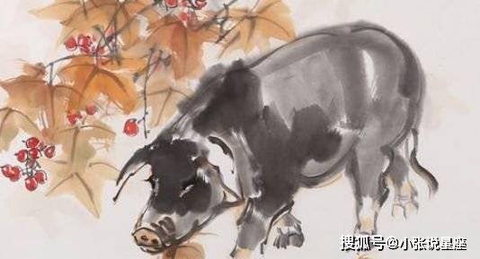 红颜丑陋与生肖之辩，探寻天理之外的故事