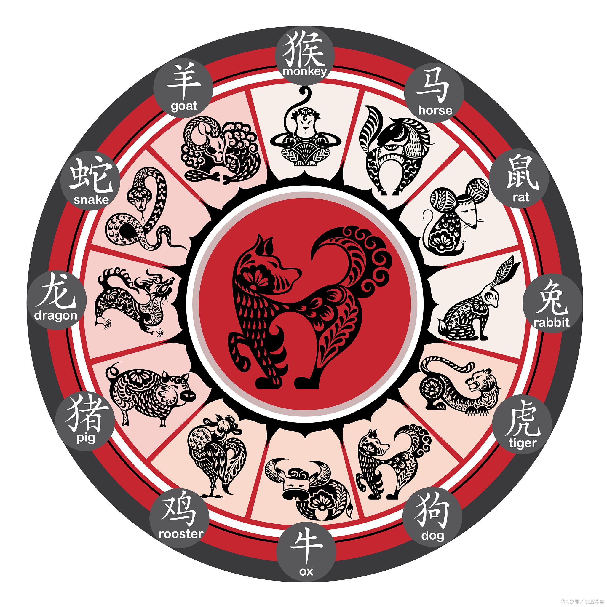 生肖奥秘，摇首顿足探秘