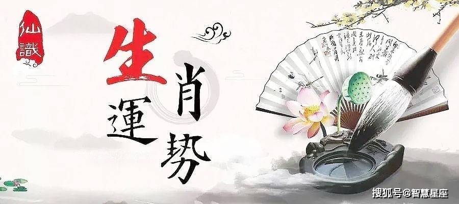 出水芙蓉与神秘生肖之谜探寻记