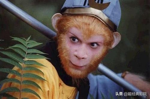 猴，手到擒来的奇妙生肖之旅